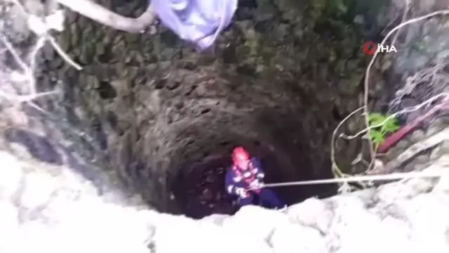 Kuyuya düşen kedi kurtarıldı Kuyuya düşen kedi kurtarıldı