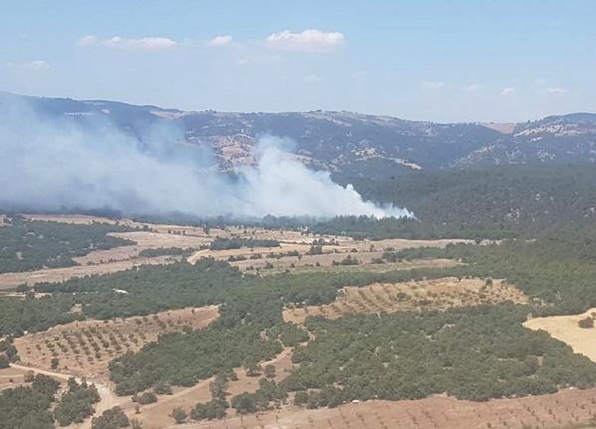 Son dakika haberi! Manisa\'da orman yangını; 1 hektar alan zarar gördü