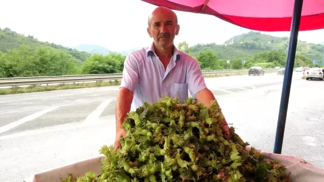Sezonun ilk fındığı tezgahlarda Sezonun ilk fındığı tezgahlarda