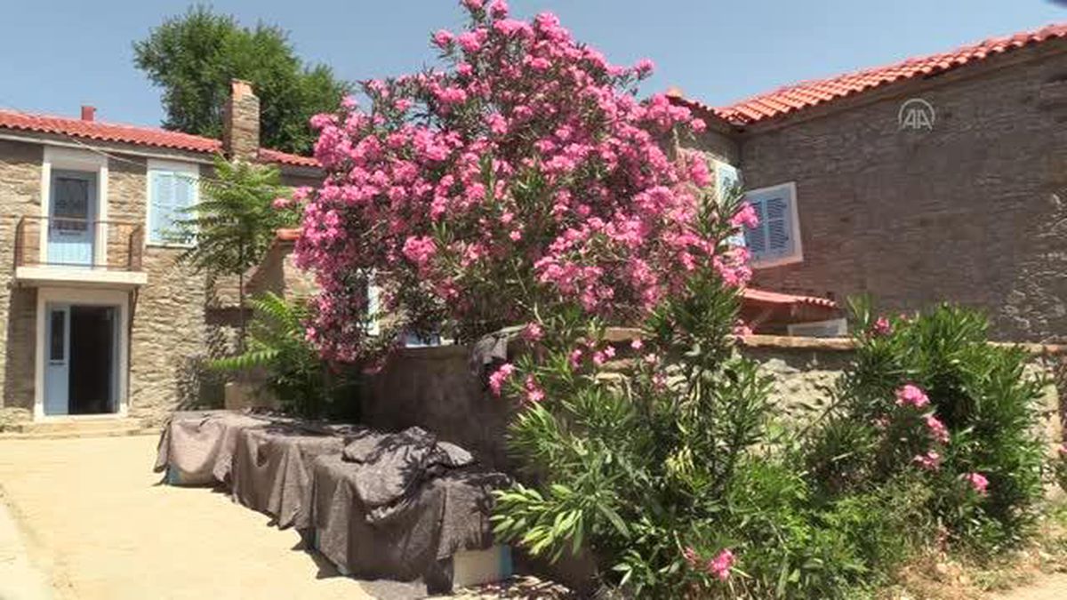 ÇANAKKALE - Türkiye\'nin en büyük adası sağlıklı beslenmeyi tercih edenlerin yeni adresi olacak