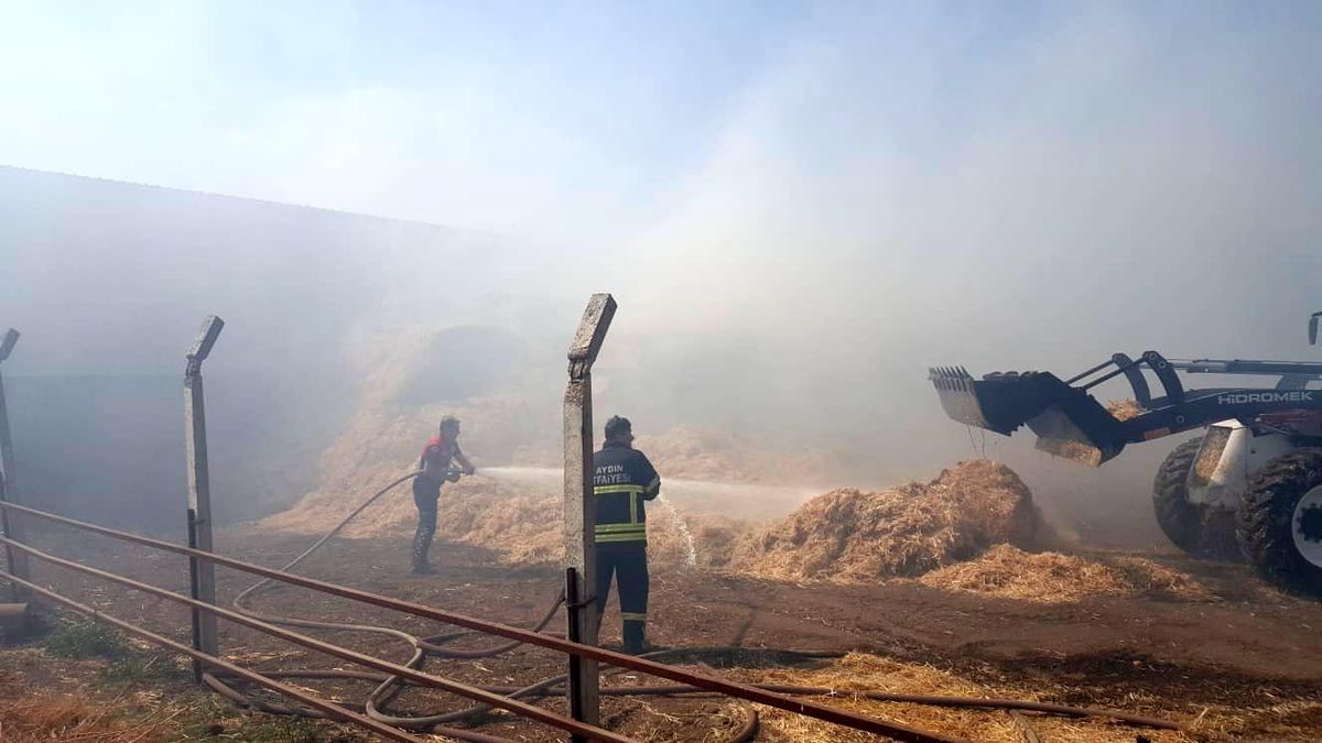 Çine ve Efeler\'deki yangınlara büyükşehir itfaiyesi müdahale etti