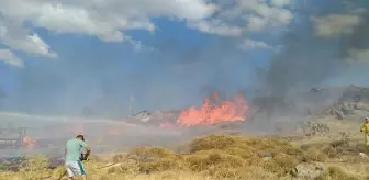 Son dakika haber | Dikili'de çıkan yangında, 18 dönümlük makilik alan zarar gördü (2)