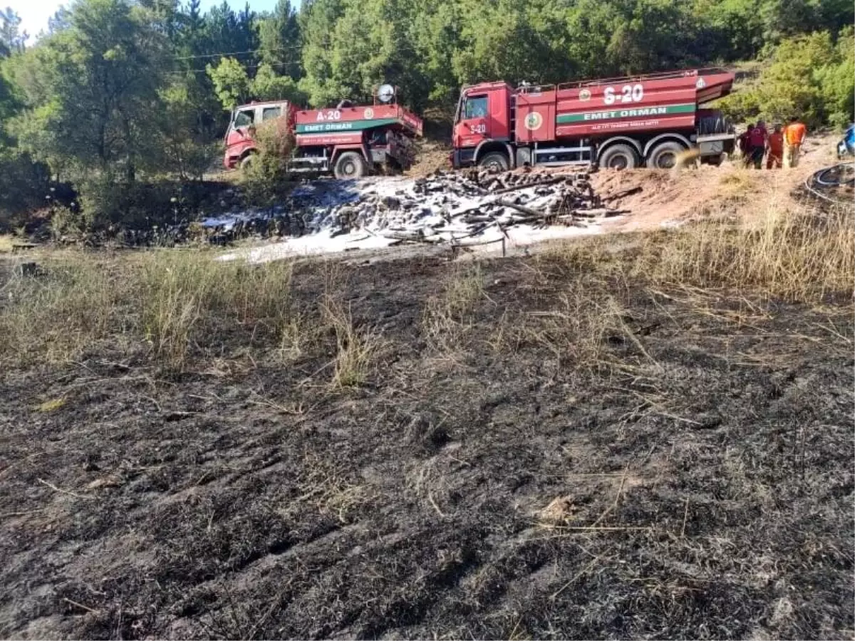 Erken müdahale yangının ormana sıçramasını önledi