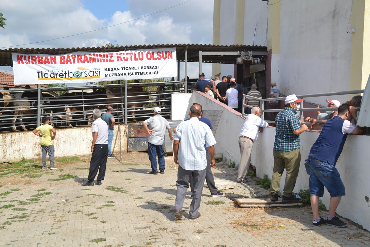 Keşan\'da bayramda 486 büyükbaş, 172 küçükbaş kurban kesildi