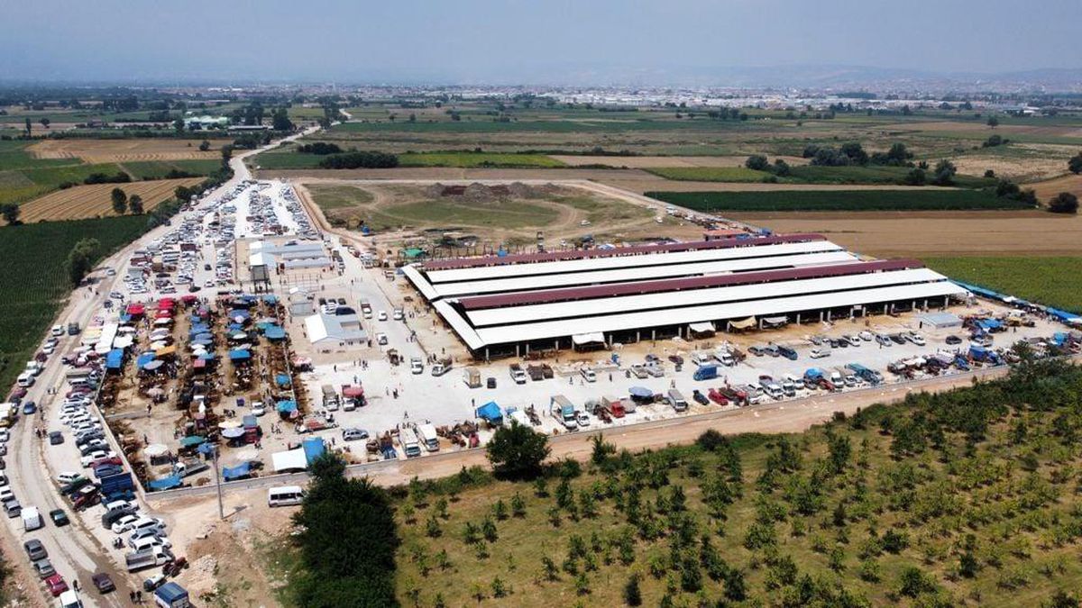 Modern hayvan pazarı ilk bayramda yüzleri güldürdü