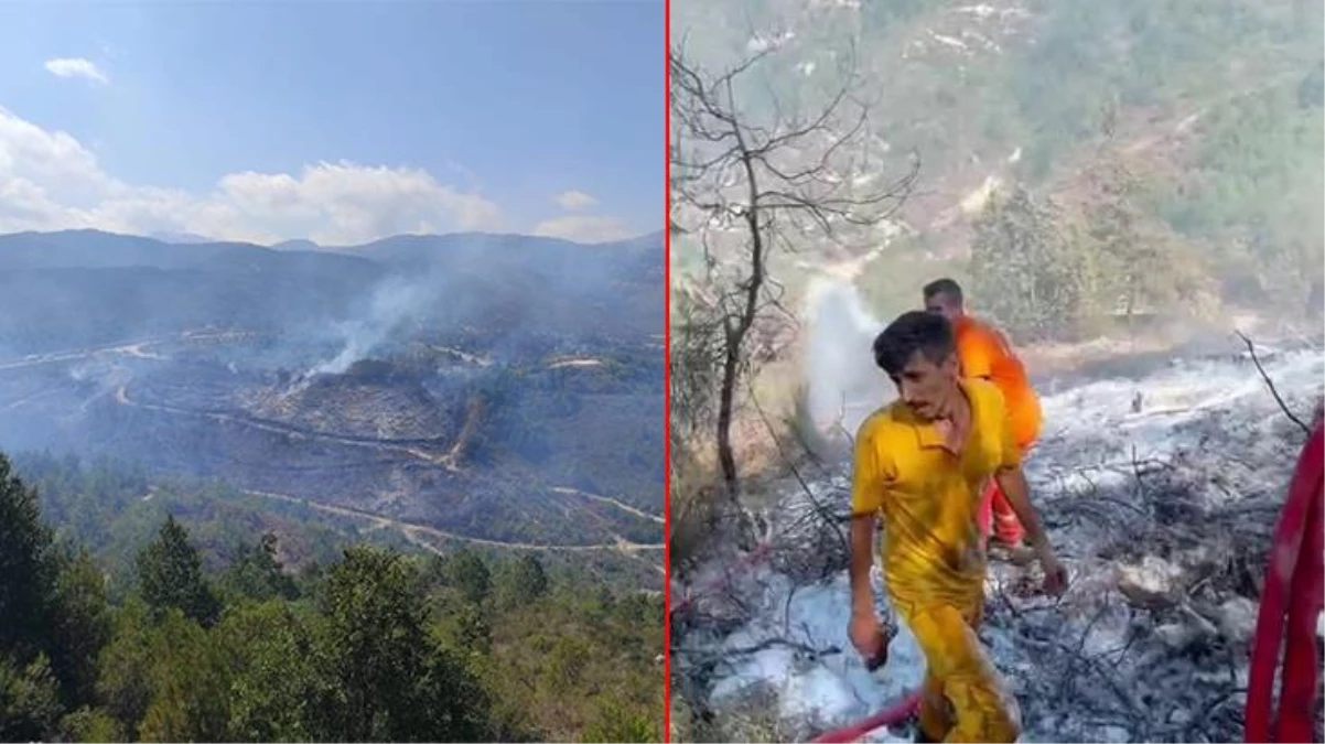 Suriye tarafında çıkan orman yangını Türkiye\'ye de 1 hektarlık alana zarar verdi