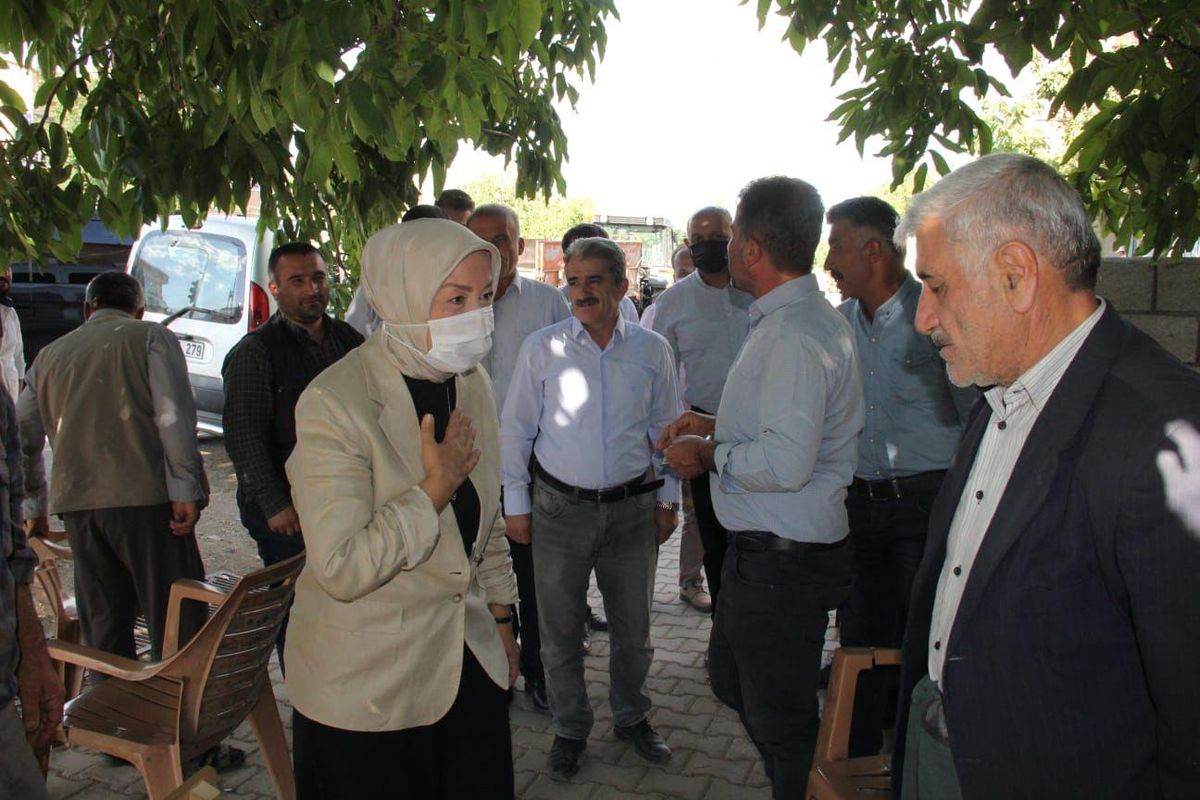 AK Partili Çalık Doğanşehir\'de tütün üreticileriyle bir araya geldi