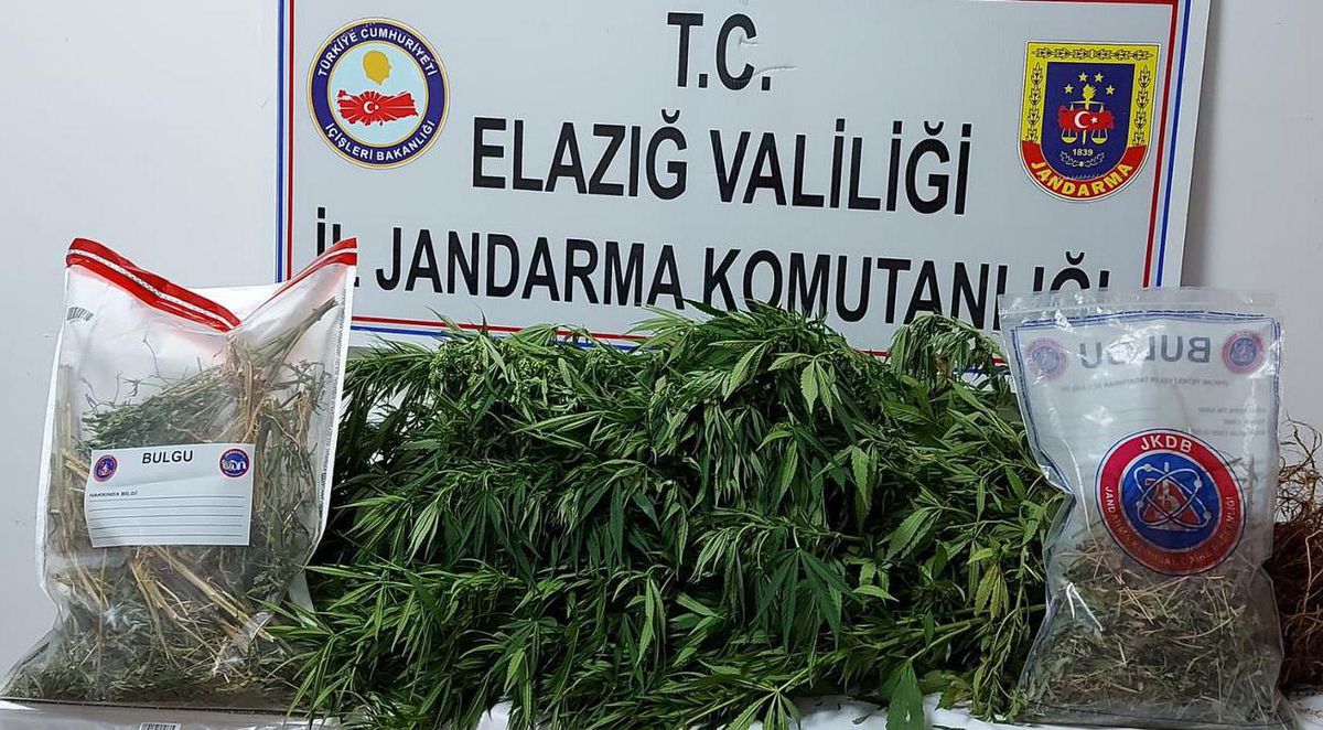 Elazığ\'da evinin bahçesinde Hint keneviri yetiştirdiği iddia edilen şüpheli yakalandı