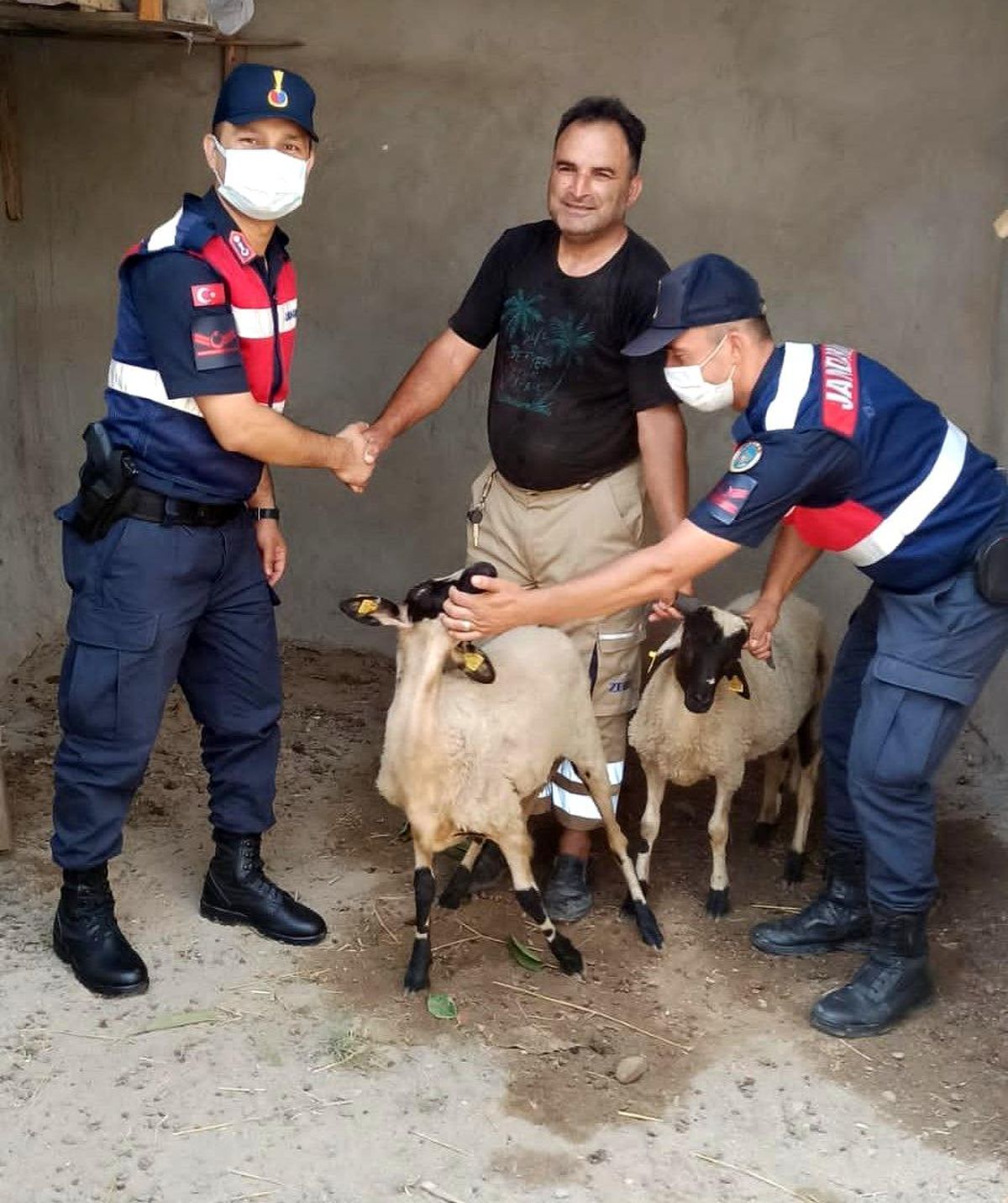 Turgutlu\'da kaybolan küçükbaş hayvanları jandarma buldu