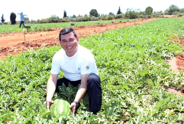 Tütüncü'den ilk hasat paylaşımı Tütüncü'den ilk hasat paylaşımı