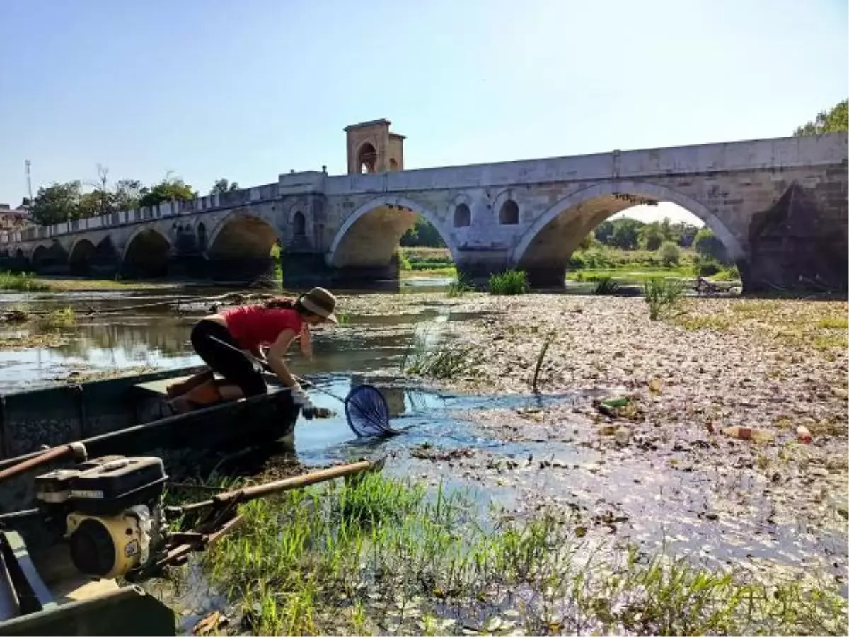 YOSUN VE ÇÖPLERLE KAPLANAN TUNCA NEHRİ\'NDE ÇEVRECİLER TEMİZLİK YAPTI