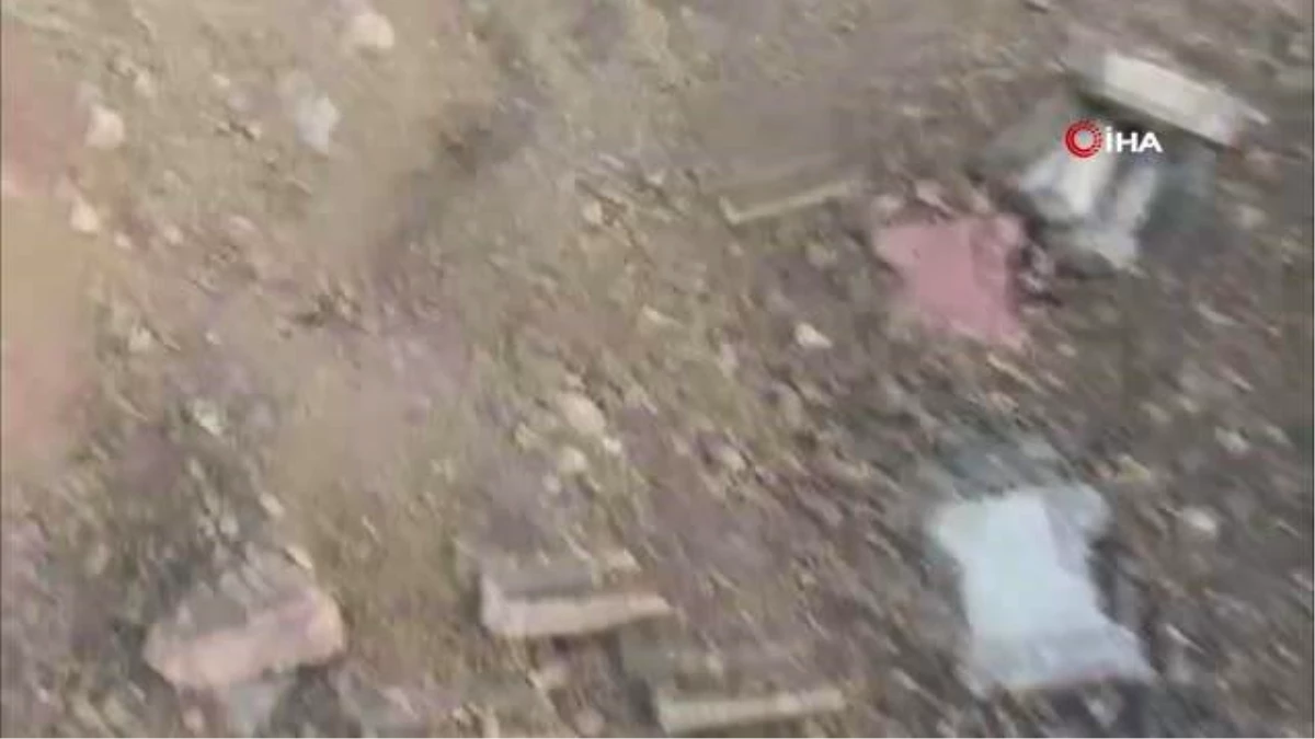 Son dakika: Elazığ\'ın incisi Hazar Gölü\'nde korkutan martı ölümleri