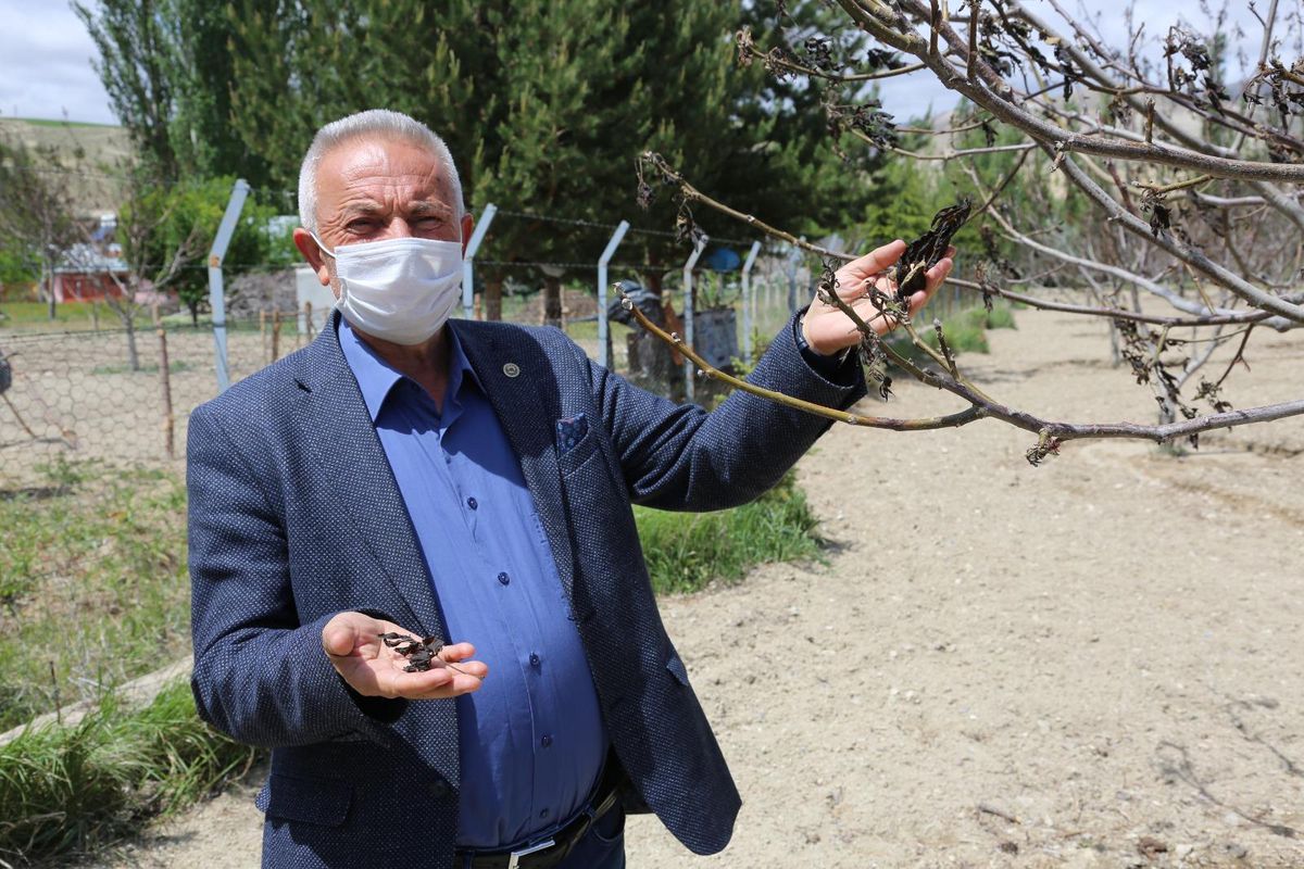 Gürün Ziraat Odası Başkanı Hüseyin Aktepe, anız yakılmaması konusunda çiftçileri uyardı