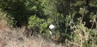 Otomobil şarampole yuvarlandı: 4 Rus yaralı