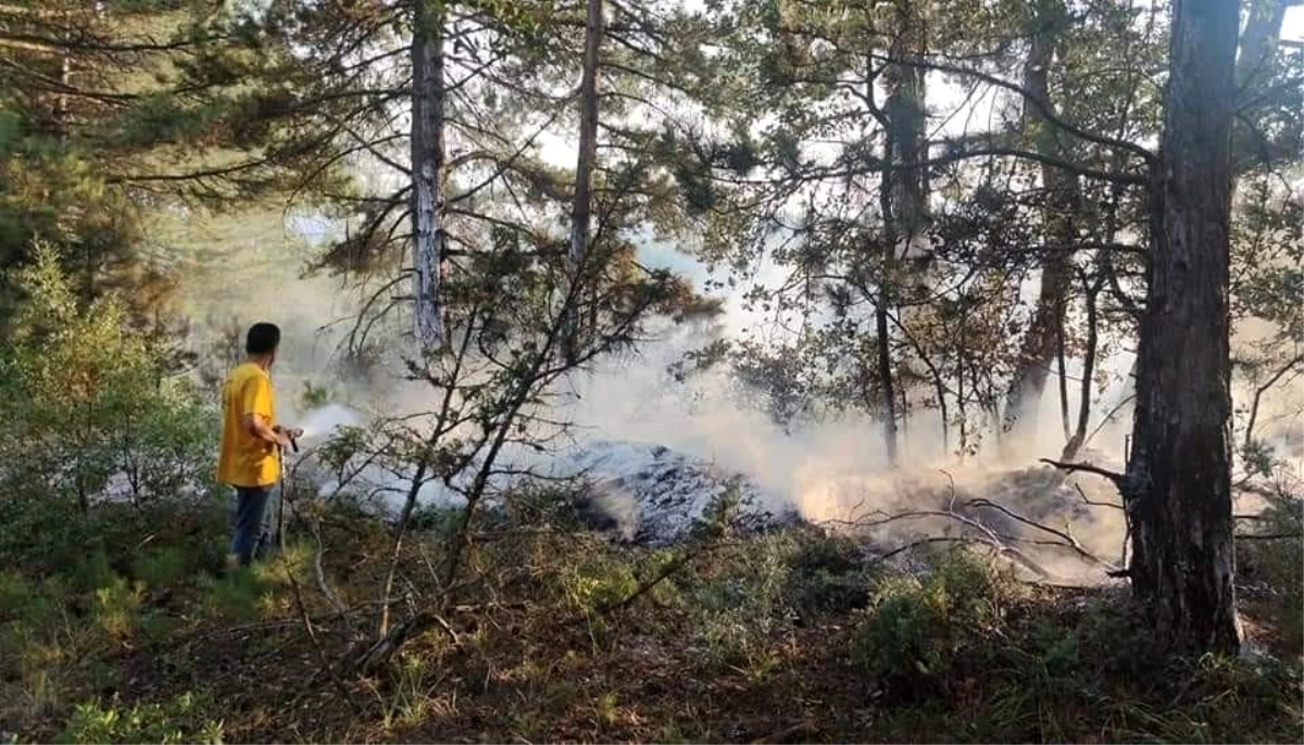 Son dakika haberleri... Yıldırım orman yangınlarına sebep oldu