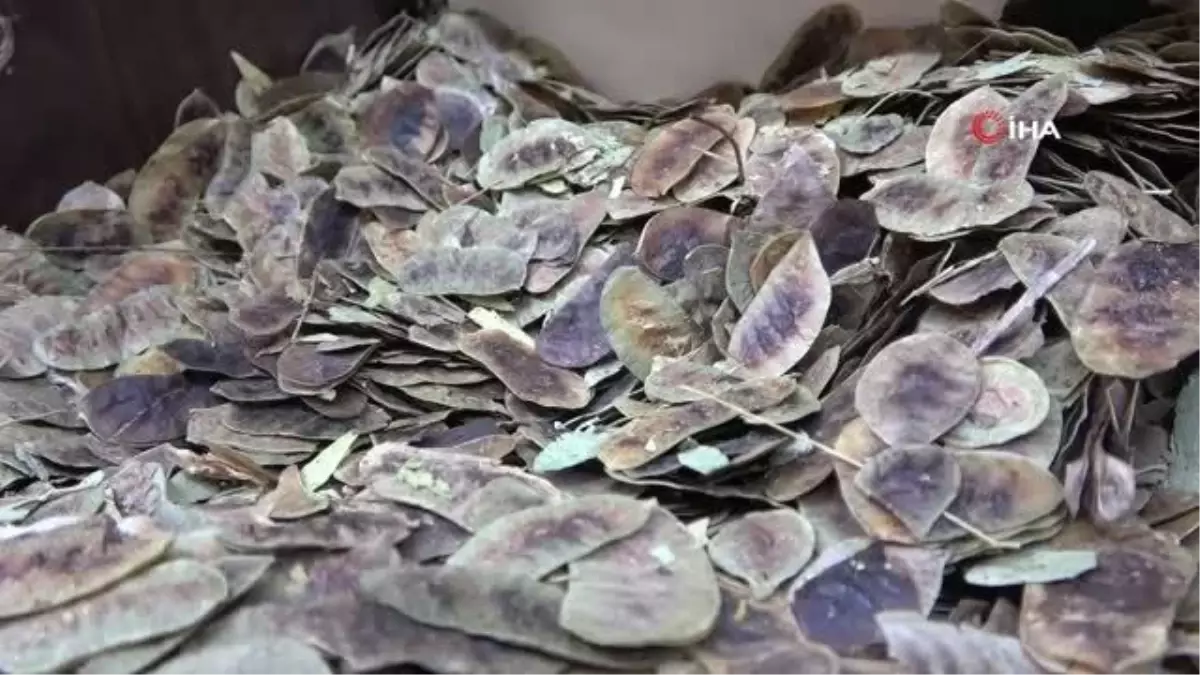 Zayıflamanın formülü bu karışımda