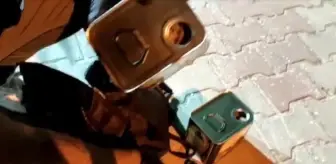 Zeytinyağı tenekesindeki esrarı 'Coco' buldu