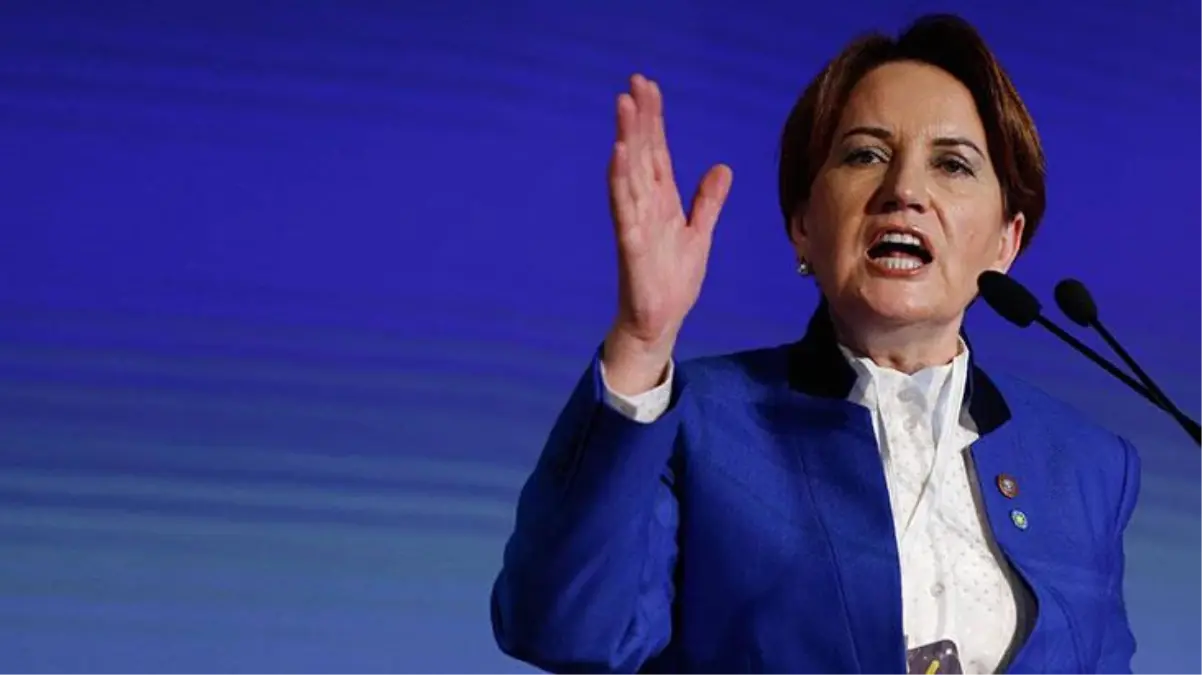 Akşener\'den ırkçı lider Kurz\'a mülteci yanıtı! "3 milyar euro verelim siz alın" sözleri sosyal medyada kampanyaya dönüştü