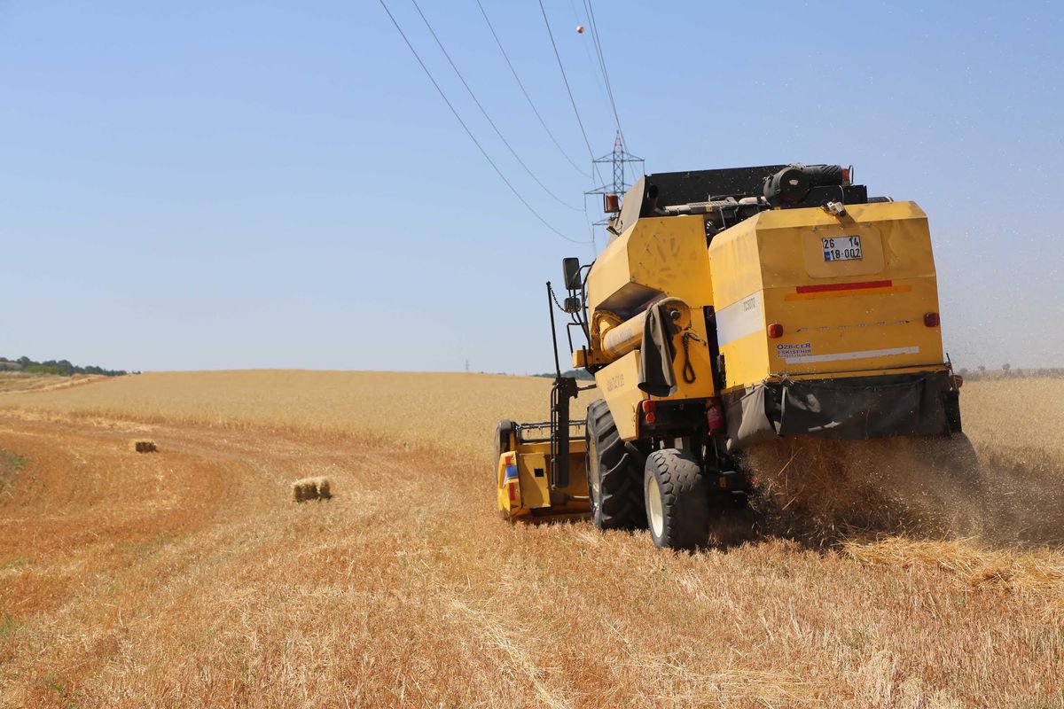 Eskişehir\'de hasat çalışmaları devam ediyor