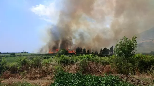 Hatay'da sazlık yangını Hatay'da sazlık yangını