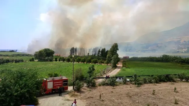 Hatay'da sazlık yangını Hatay'da sazlık yangını