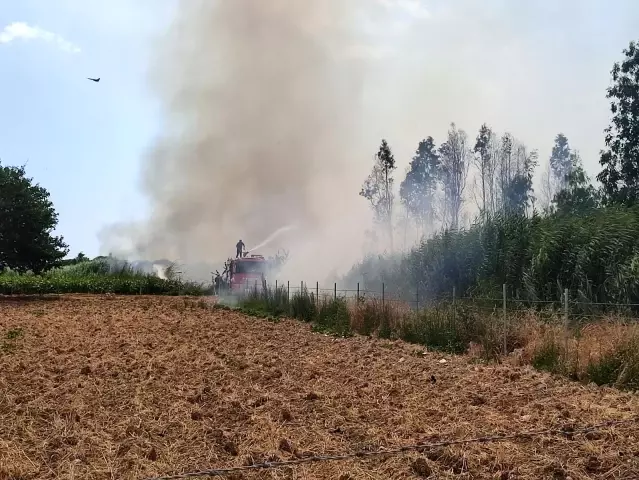 Hatay'da sazlık yangını Hatay'da sazlık yangını