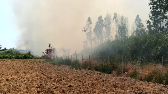 Hatay'da sazlık yangını Hatay'da sazlık yangını