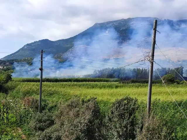 Hatay'da sazlık yangını kontrol altına alındı Hatay'da sazlık yangını kontrol altına alındı