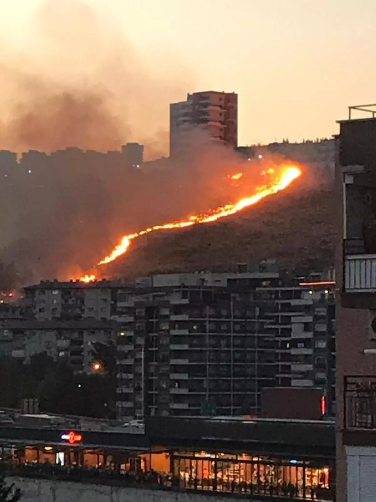 Otluk alanda çıkan yangın söndürüldü