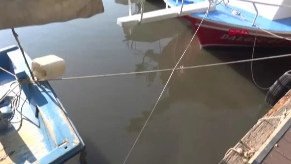 KANALİZASYON IRMAĞA AKTI