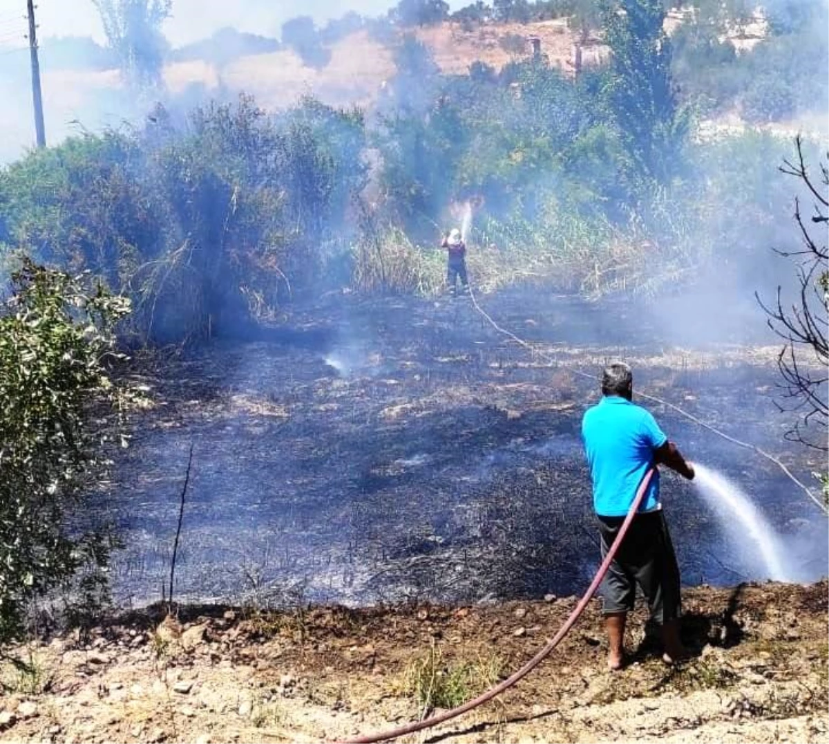 Son dakika haber! Karacasu\'daki arazi yangını kontrol altına alındı