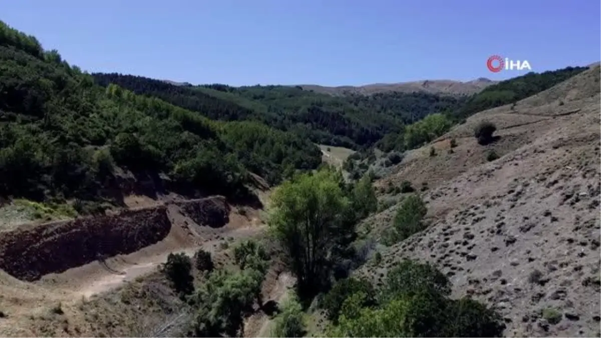 Kelebek gözlemcisi ve fotoğraf sanatçısı Yalçın: "Gümüşhane\'de kelebek popülasyonu yok oluşun eşiğinde"