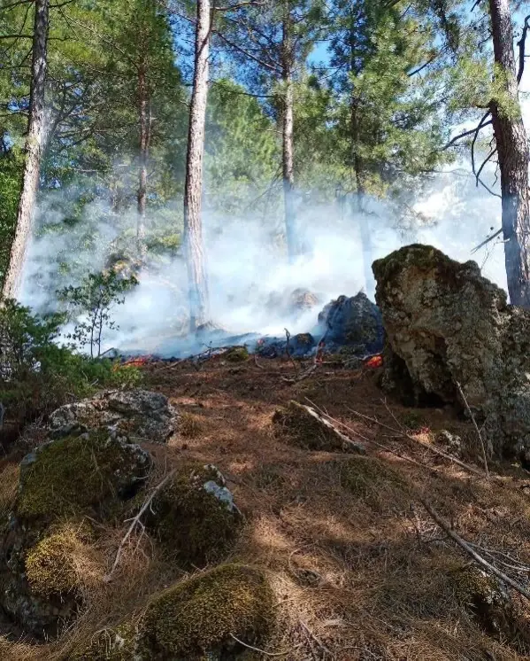 Kozan'da orman yangını (1)