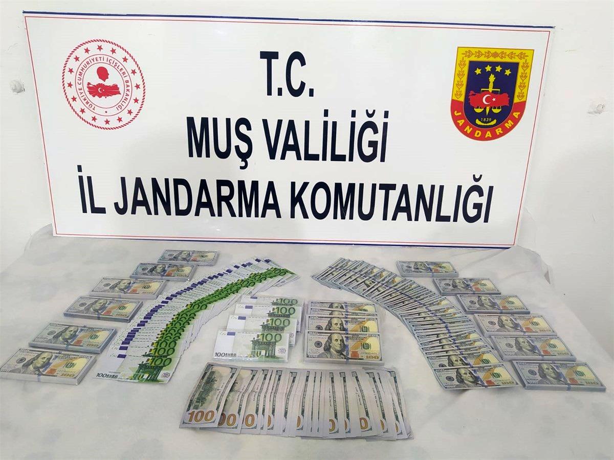 Muş\'ta 2 milyon TL\'lik sahte döviz ele geçirildi