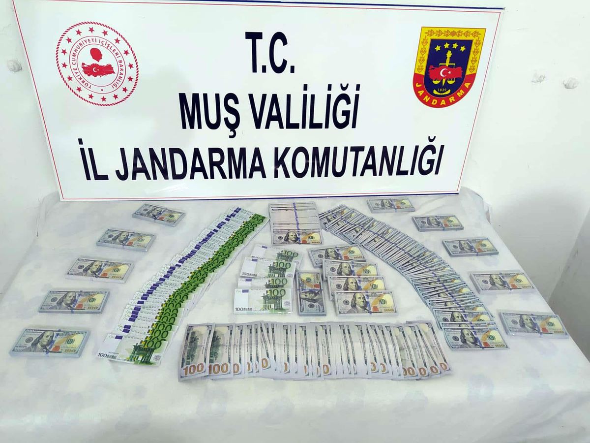 Muş\'ta sahte döviz operasyonu