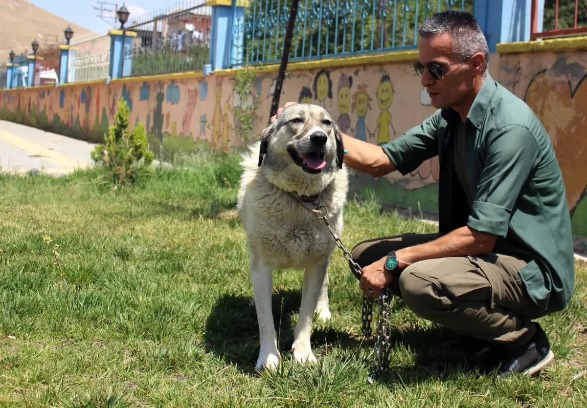 Ölüme terk edilen köpekle engellilerin \'Dost\'luğu devam ediyor