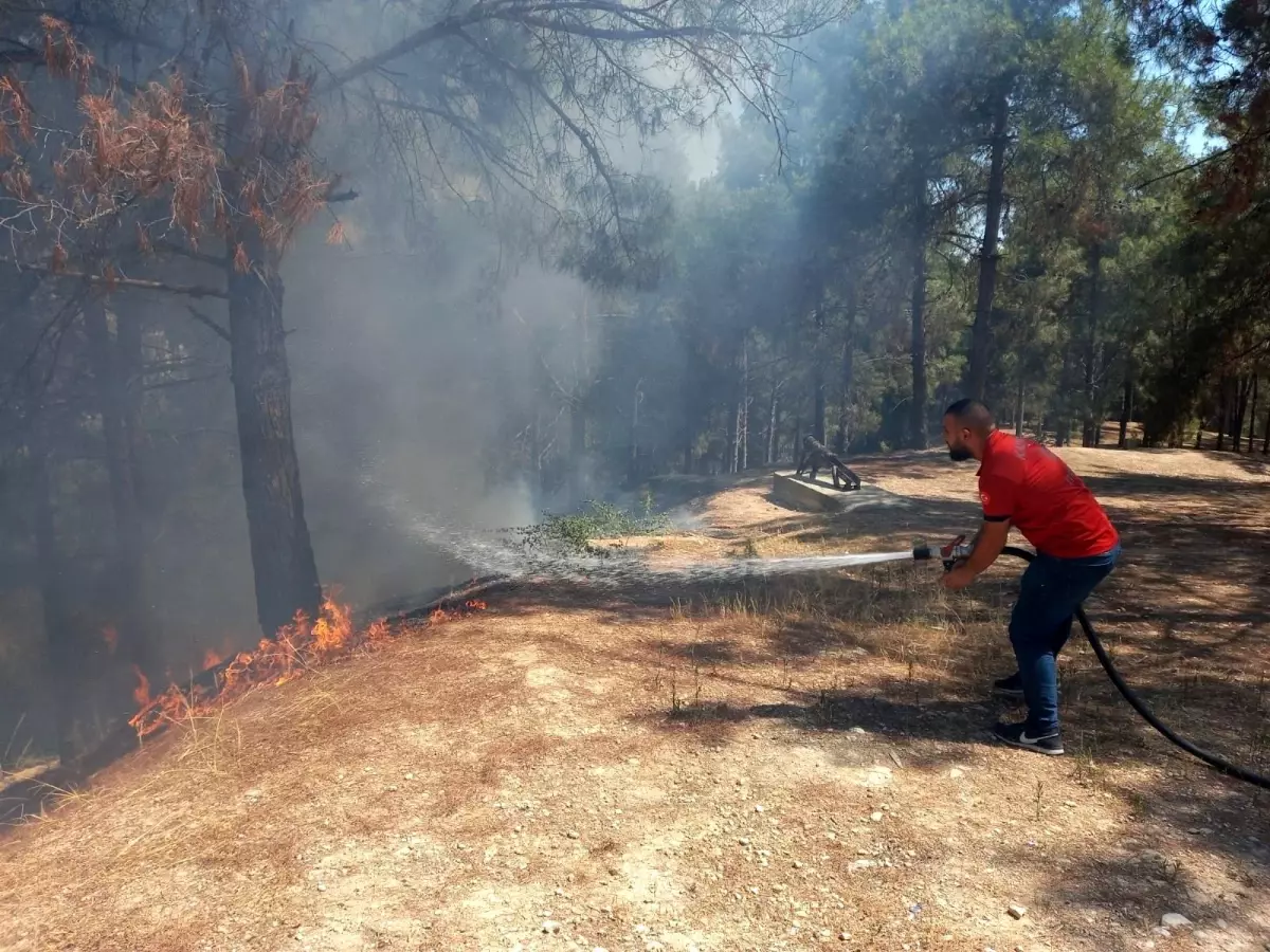 Osmaniye\'de ormanlık alanda çıkan yangın büyümeden söndürüldü