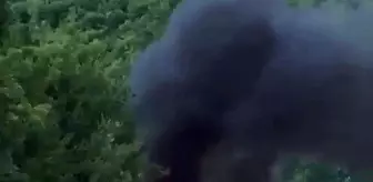 Şile'de yol ortasında yanan araç alev topuna döndü