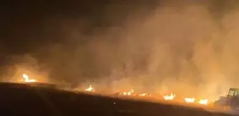 Silivri'de buğday tarlası alevlere teslim oldu