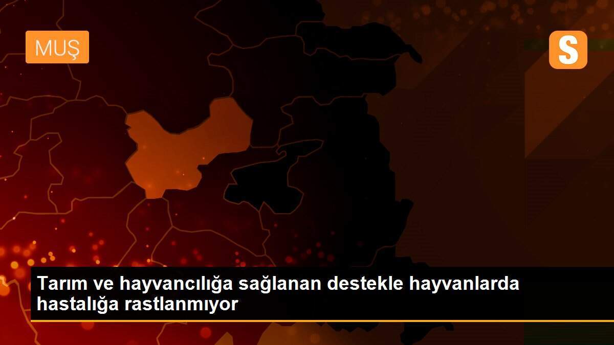 Tarım ve hayvancılığa sağlanan destekle hayvanlarda hastalığa rastlanmıyor