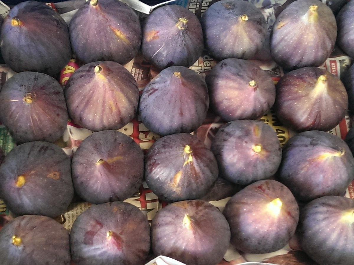 Taze incirin ihracat yolculuğu başlıyor