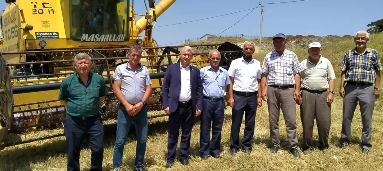 Tunçbilek beldesinde çiftçiler mahsulünü hasat ediyor