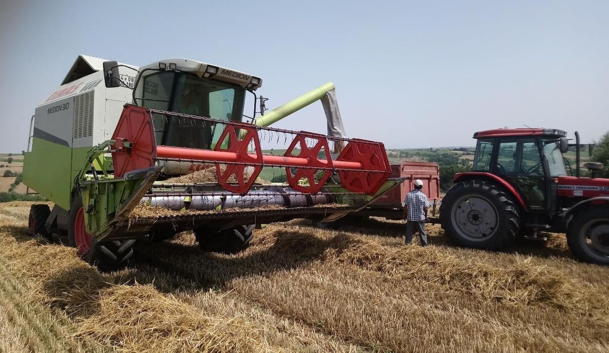 Türkiye\'nin önemli hububat merkezlerinden Edirne\'de buğday hasadı sona erdi