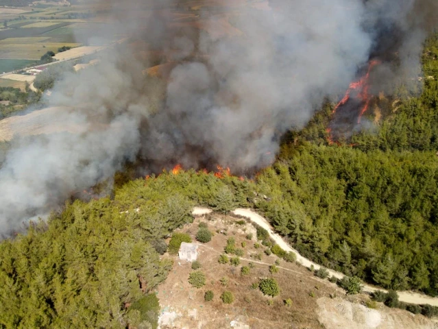Son dakika haberleri | Adana'da orman yangını, System.String[]