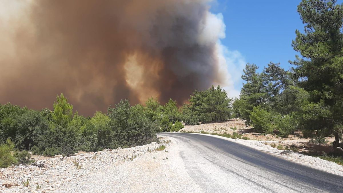 Son dakika haber... Antalya\'da çıkan orman yangınına hava ve karadan müdahale ediliyor