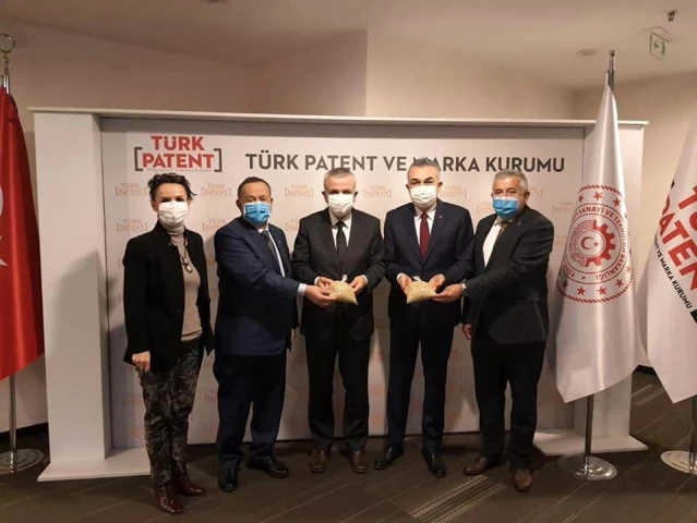 Aydın'ın çam fıstığı da coğrafi işaretli olarak dünyaya açılıyor