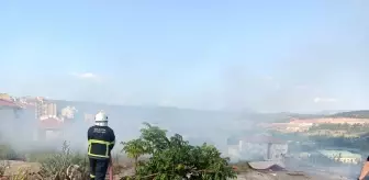 Son dakika... Bilecik'te makilik alanda yangın