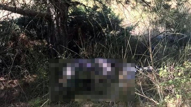 Bugün beni beklemeyin demişti! Yaşlı adam mezarlıkta ölü bulundu Bugün beni beklemeyin demişti! Yaşlı adam mezarlıkta ölü bulundu
