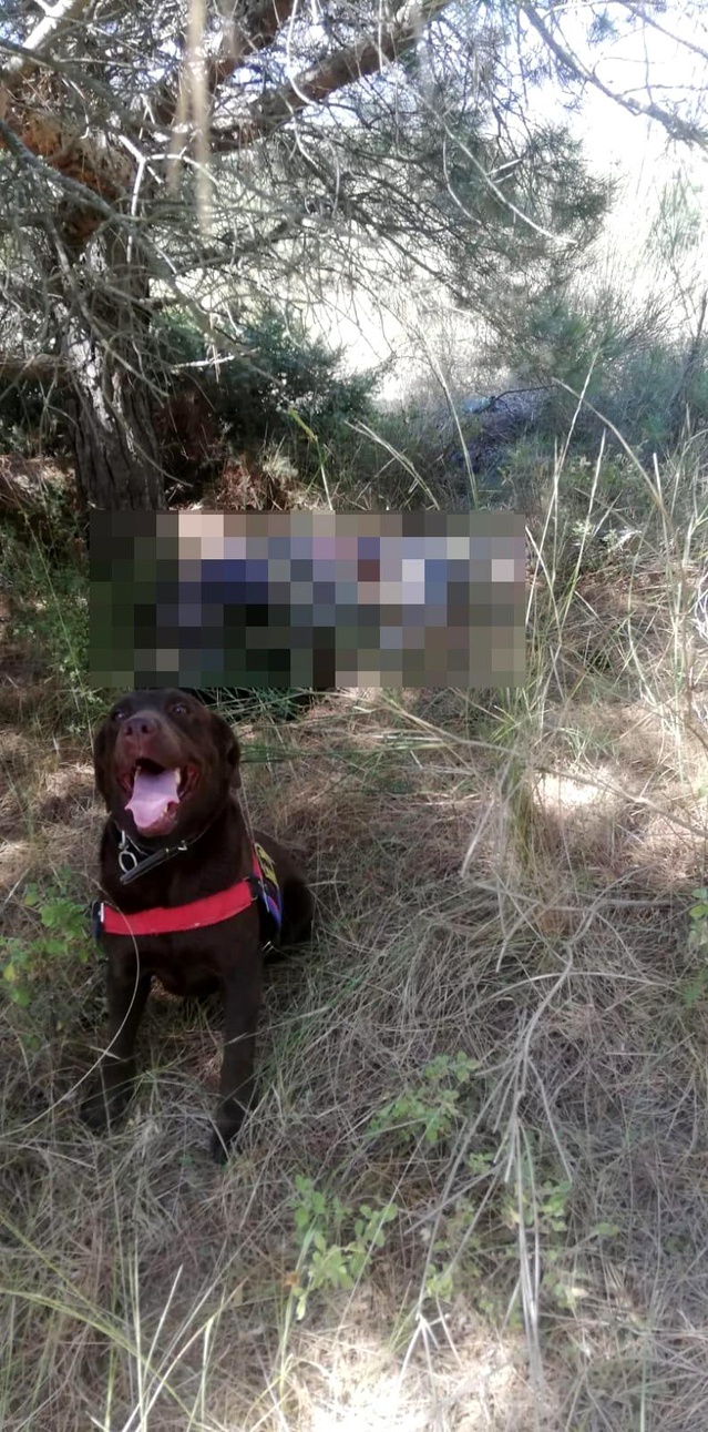 Bugün beni beklemeyin demişti! Yaşlı adam mezarlıkta ölü bulundu Bugün beni beklemeyin demişti! Yaşlı adam mezarlıkta ölü bulundu