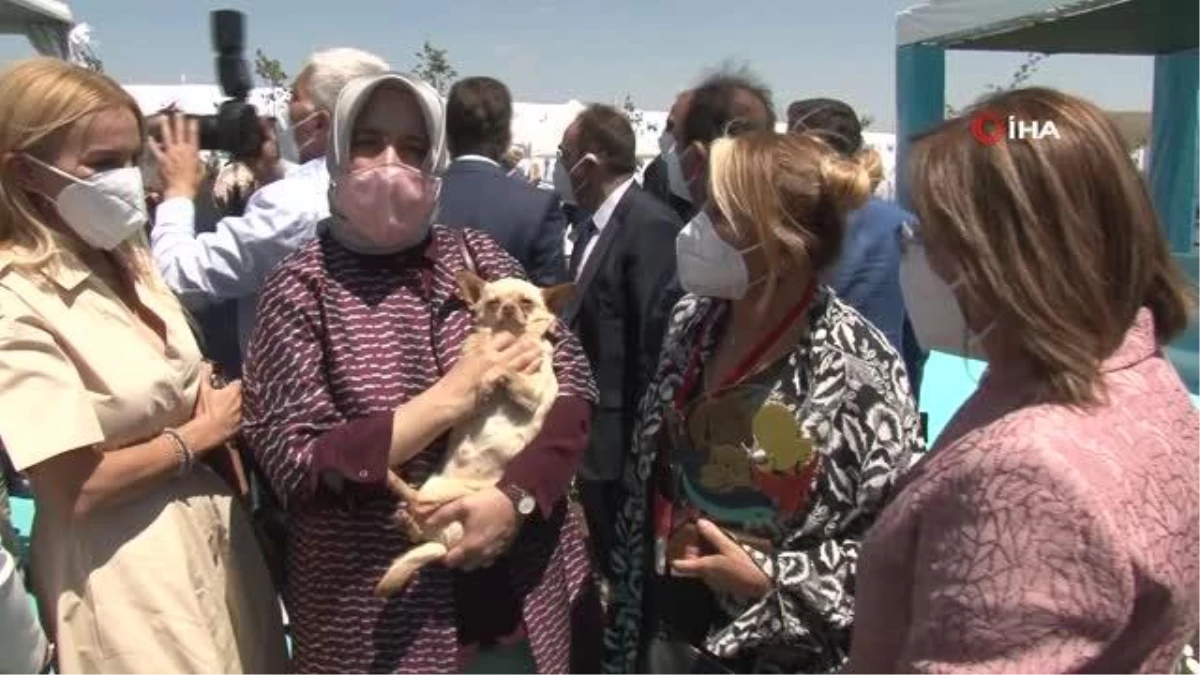 Emine Erdoğan, ses telleri kesilen köpeği Yonca Evcimik\'e emanet etti